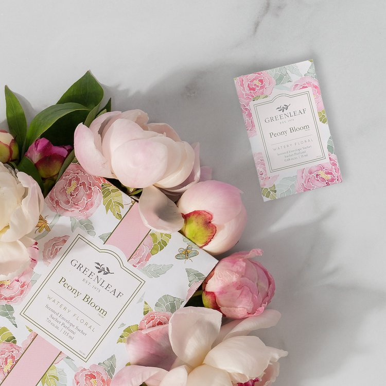  Rose, Tulpe, Hyazinthe