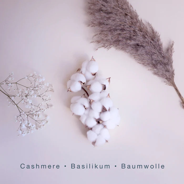 COSY BLANKET MEDITATION: Heißluftballonfahrt 2 Vitalität Geschenkideen, Raumduft, Scentorie bei Zeit für mich...