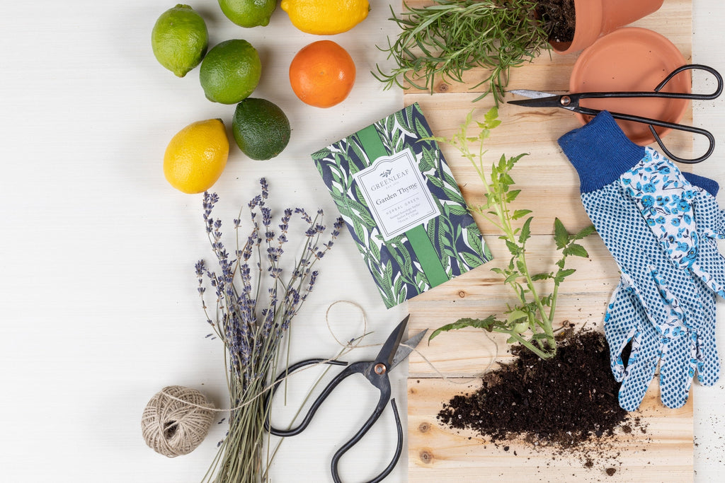 Greenleaf Garden Thyme 115ml 2 Greenleaf Raumduft bei Zeit für mich...