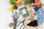 Greenleaf Garden Thyme 115ml 2 Greenleaf Raumduft bei Zeit für mich...