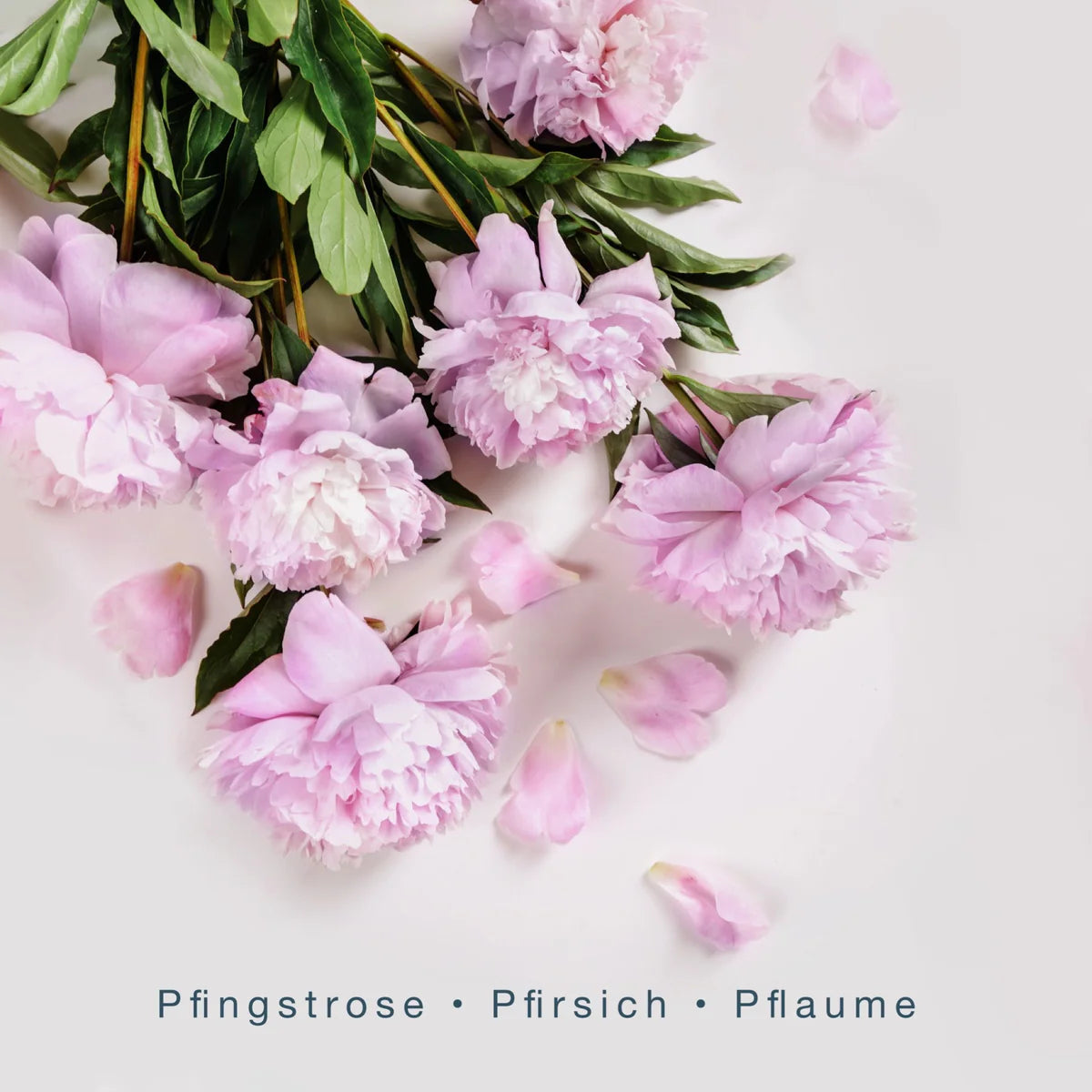 Scentorie Duftkerze LOVE ARTIST + Meditation "Selbstliebe & Achtsamkeit" 2 Vitalität Geschenkideen, Raumduft, Scentorie bei Zeit für mich...