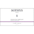 Straffungs-Ampullen 7x2 ml 1 SOTHYS Ampullen, Gesichtspflege bei Zeit für mich...
